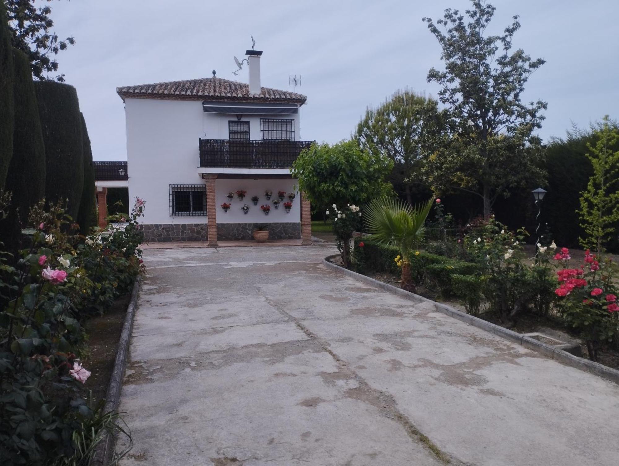 Вілла Vivienda Rural Huerta Del Medio Гранада Екстер'єр фото